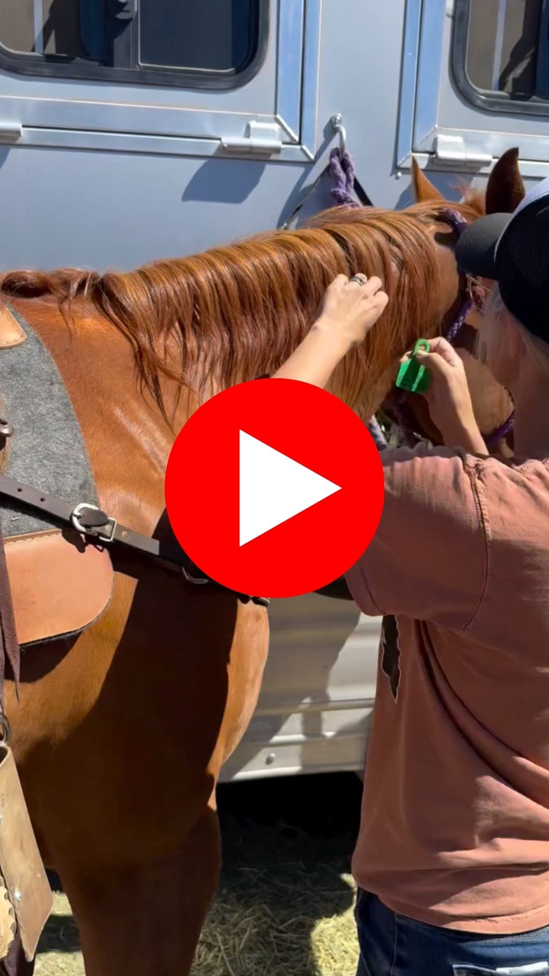 Wildfire Season is Here: How Ritchey Tags Stand Up to the Heat—For ALL Livestock