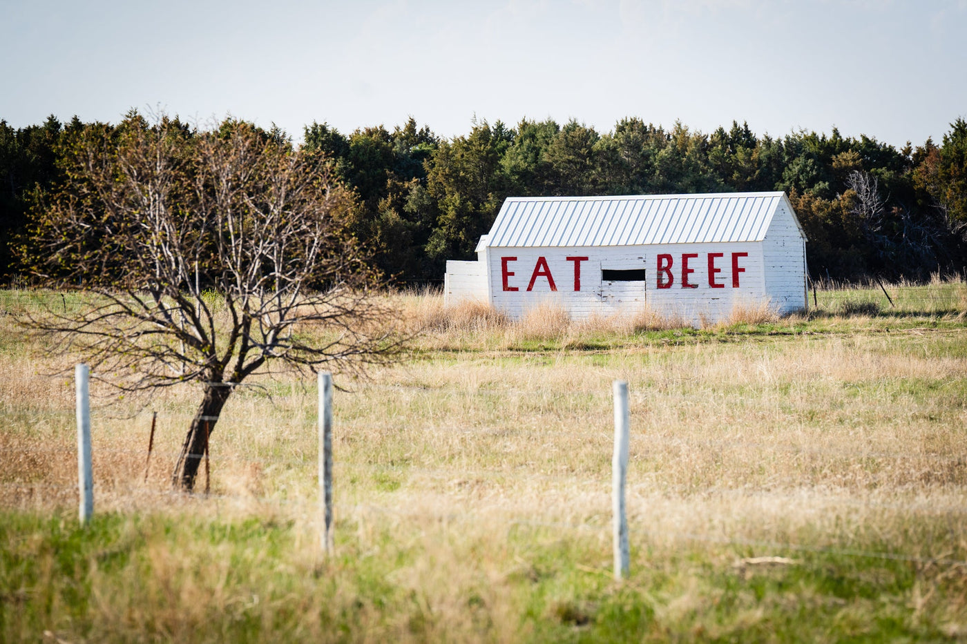 Eat Beef Photo
