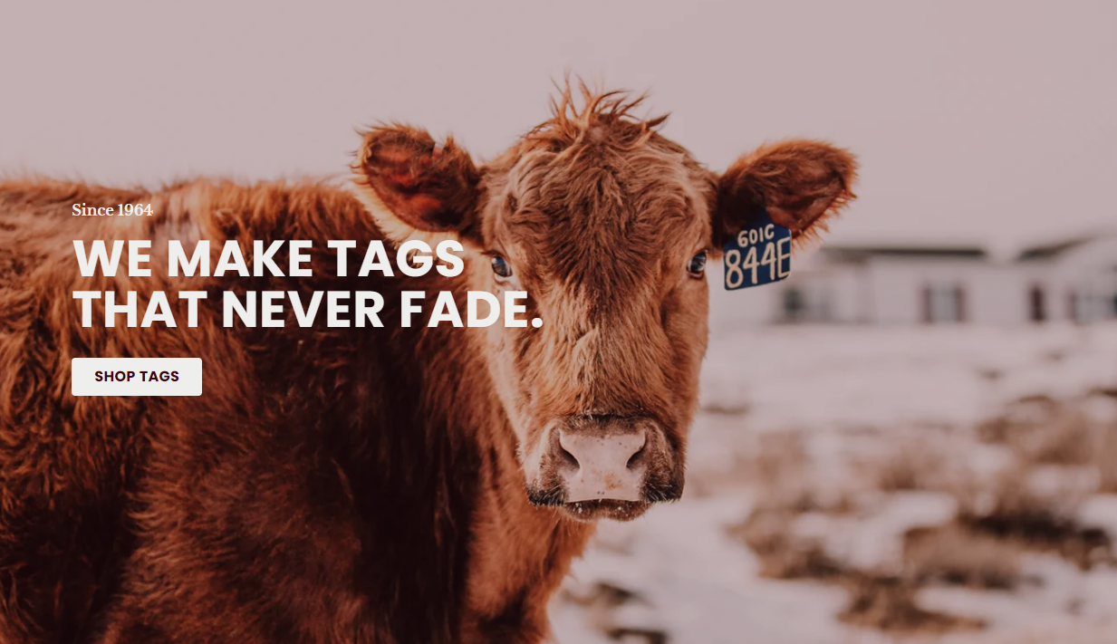 Using the Ritchey 3D Ear Tag Designer