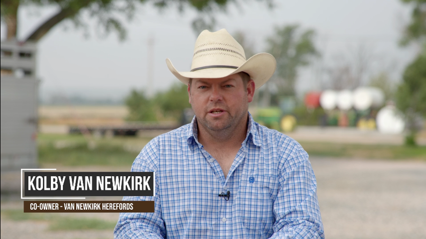 Cattle Ear Tag Engraving Demo