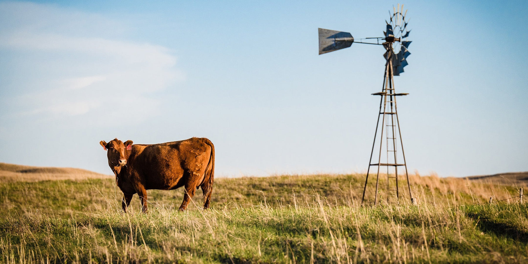 Full Ritchey Tag Product Catalog