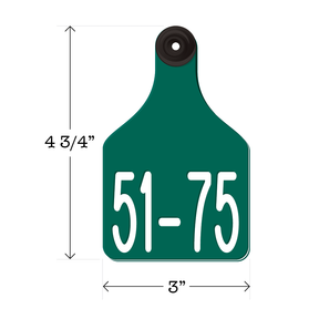 Never Fades™ Large Pre-Numbered Cattle Ear Tags