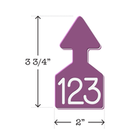 Purple, customizable, dual colored small arrowhead shaped livestock and cow ID tag