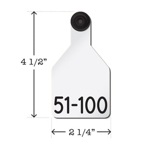 Prenumbered Medium Calf Tags 51-100