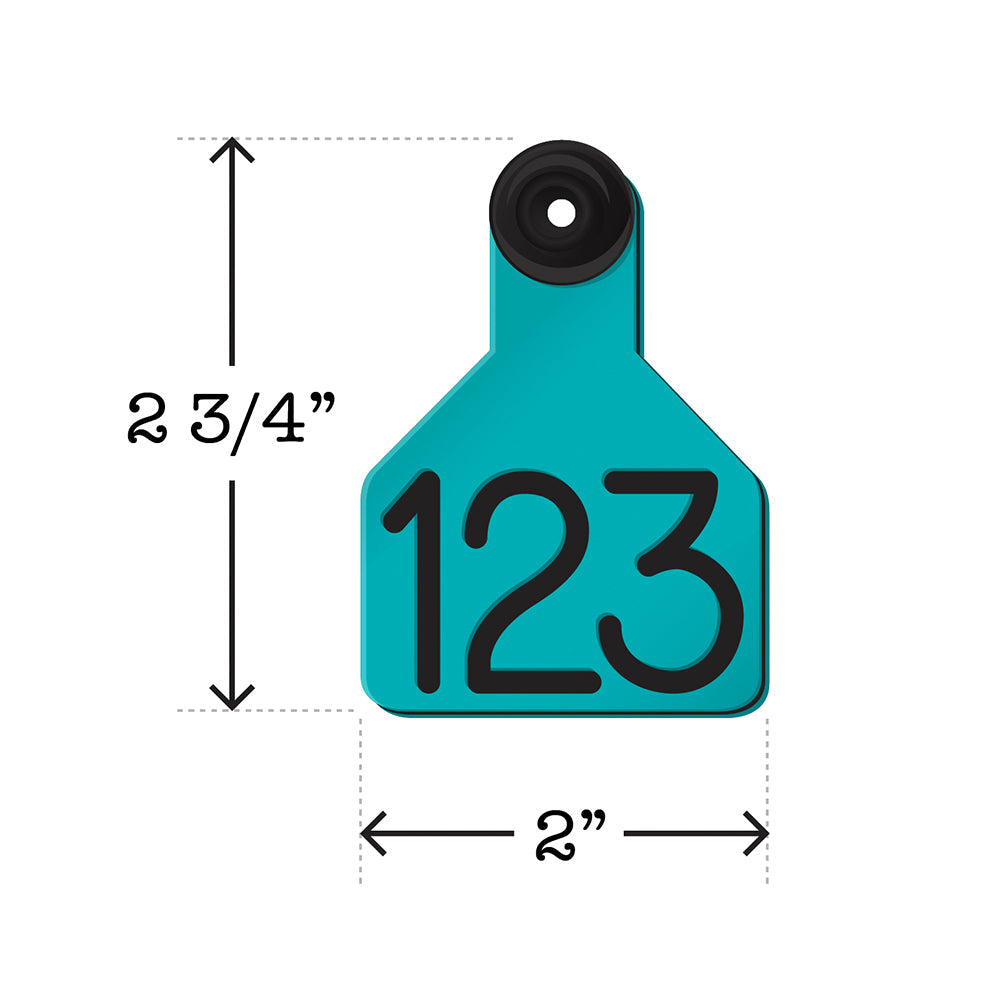 Universal Dual Colored Small Tags