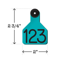 Universal Dual Colored Small Tags