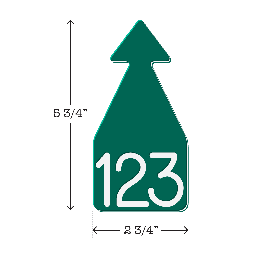 Green and white arrowhead shaped ID Tag for mature beef and dairy cattle. Installs with the Ritchey Arrowhead Installing Tool. These tags can be used for a variety of identification purposes. Product Dimensions – Height: 5 3/4″, Width: 2 3/4″.